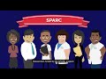 nih common fund stimulating peripheral activity to relieve conditions sparc program overview