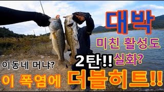 [국민배스] 경북 대박포인트!(2탄) 이 폭염에 이런활성도 실화?? 4짜가 태생!!