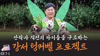 2500여 마리의 유기견들의 가족을 찾아주는 포-근한(?) 요정 뚱아저씨 [전보동 Ep.7-1 강서 팅커벨 프로젝트]ㅣ#유기견입양 #입양센터 #전국보호소봉사활동