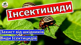 Що таке Інсектициди? Для чого потрібен Інсектицид? Захист рослин від шкідників.