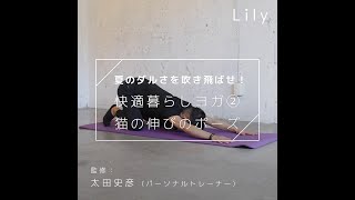 【リラックスヨガ】背中と肩をほぐすヨガ～猫の伸びのポーズ～