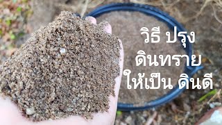 วิธีปรุง ดินทราย ให้กลายเป็นดินดี เพื่อเพาะกล้า ต้นอ่อนของพืช