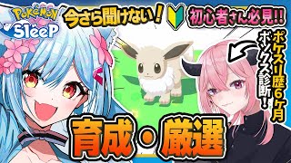 【ポケモンスリープ】このイーブイ強い！？ボックス診断！第２回【ポケモン大好きVTuber】