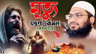 মৃত্যুর কঠিন ওয়াজ শুনে লাখো যুবক কাঁদলো। ইসমাঈল বুখারী কাশিয়ানী ওয়াজ। Ismail Bukhari New Waz 2024