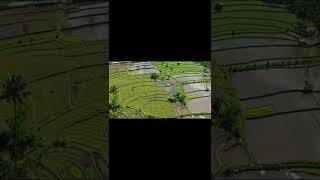 Bali, Indonesia-Drone Shot.