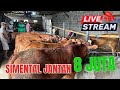 Sapi Sudah Turun… Harga 6 jutaan ada, 8 jt dpt Simental Jantan