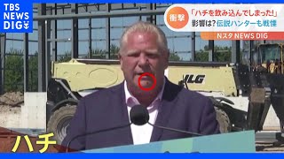 “伝説の蜂ハンター”も真っ青「いまだに信じられない」　カナダ州首相が会見中ハチを飲み込んじゃった！｜TBS NEWS DIG