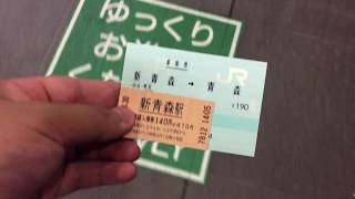 エド券サイズの入場券と定期券サイズの片道乗車券で新幹線乗り換え改札から入場してみた