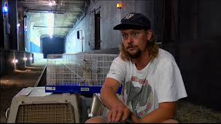 CLOVERFIELD FILES: RATACLOVERFIELD