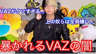 【ヒカルブチギレ】VAZに酷すぎるイジメを受けていたヒカル【切り抜き】