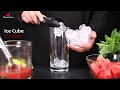 watermelon mojito watermelon mocktail refreshing home made watermelon juice summer drink