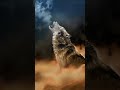 Galaxy Themes - [poly] the roar of wolves in the sky