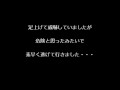 警戒して居るエゾシカ