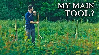 Scything, Permaculture, & Grass-based Food Systems | A Mini  Essay
