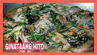 HOW TO COOK GINATAANG HITO | CATFISH WITH COCONUT MILK