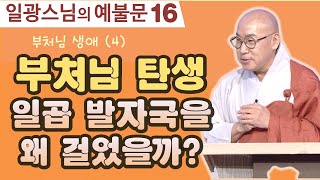 부처님이 태어나자마자 내딛은 일곱걸음의 의미 [일광스님의 예불문 16회]