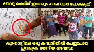 കുവൈറ്റിലെ ഒരു കമ്പനിയിൽ പെട്ടുപോയ ഞാൻ അടക്കം ഉള്ള 80 ഓളം പ്രവാസികളുടെ ഇപ്പോഴത്തെ അവസ്ഥ