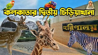 Kolkata Mini Zoo Harinalaya | কলকাতার দ্বিতীয় চিড়িয়াখানা | Eco Park Zoo Kolkata | New Kolkata Zoo