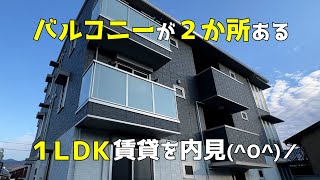 2か所バルコニーのある賃貸1LDKを内見😍2023年1月新築のアパートにみきゃんも大興奮のルームツアー🤩