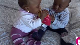 Twin babies fighting over a toy and a pacifier - funny Babies - vlog 15