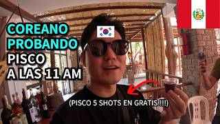 COREANO PROBANDO PISCO EN GRATIS A LAS 11 am POR PRIMERA VEZ | PERU (4)