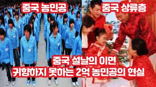 중국 설날의 이면 귀향하지 못하는 2억 농민공의 현실