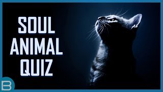 What Is Your Soul Animal?