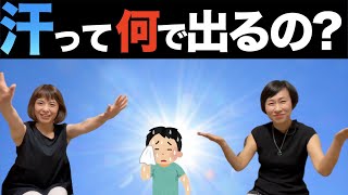 汗は何ででいているの？どうしてどこから出来るの？汗について解説しました。