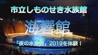 市立しものせき水族館「海響館」2019年【夜の水族館】