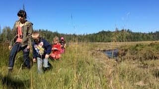 A day of discovery on Haida Gwaii