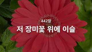 [새찬송가] 442장 저 장미꽃 위에 이슬