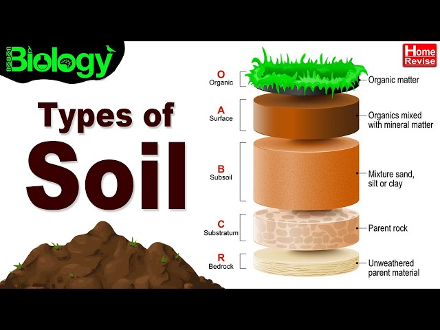 Types Of Soil Sandy Soil Loamy Soil Clayey Soil Pdf 40 Off