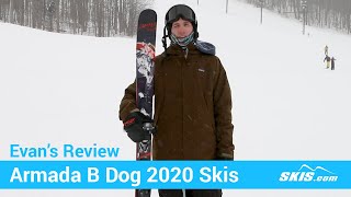 Evan's Review-Armada B Dog Skis 2020-Skis.com 6 50