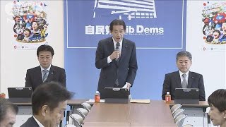 選択的夫婦別姓制度　自民党が議論再開も難航必至(2025年2月13日)