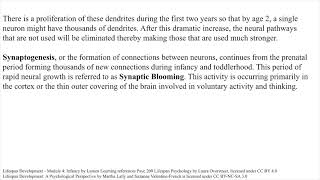Ch. 4 Brain Development