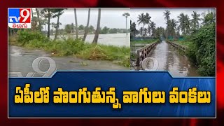 Heavy Rains lash in Andhra Pradesh  :  Flooding Visuals - TV9