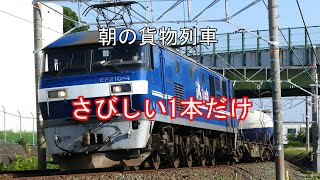 JR貨物 2022/05/23 月曜日 朝の貨物列車1068レの1本 相棒の1071レは遅延で姿無し