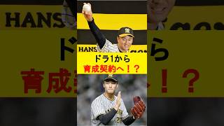 【プロ野球】ドラ1から育成契約へ！？森木大智の運命が変わる！#shorts #阪神タイガース #森木大智 #藤川球児 #育成契約 #プロ野球 #再出発 #ドラフト1位 #野球