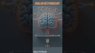 BUNLARI BİLİYORMUSUN? #33