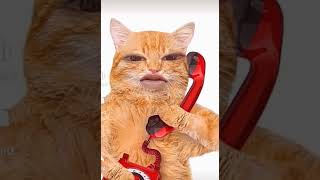 Billi phone Karte Hain #_shorts #viral #shortvideo