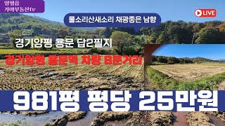 양평 가야부동산 경기양평 용문답2필지