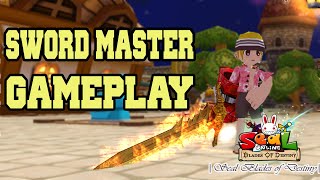 Recommended Sword Master aka SM Build - Seal Online Blades of Destiny