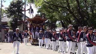 平成25年(2013)　多治速比売神社祭礼　宮出し