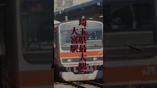 まさかの駅が2035年にHD化！？#東日本旅客鉄道#鉄道ファン #鉄道開業152周年#鉄道 #jr東日本  #電車 #大宮駅