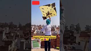 Same beef song 💥 big kite flying on Basant old video 💥#kite #bigkitefestival #kiteflying #kitelover