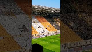 Die Besten Fans der Welt... 70 Jahre Dynamo Dresden 22.04.2023