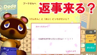 【あつ森】住民に「恋愛」や「たぬきち関係」の手紙を送ると・・・返事は来るのか？【あつまれどうぶつの森】【メッセージカード/しずえさん】