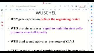 Shoot apical meristem||WUS and CLV Signaling Pathway||Related Question||CUET-PG||GATE||CSIR NET