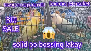 ep#126 BIG sale bocaue pet market tawag na kapatid dame pag pipilian. abot kaya sa presyo.👌👌