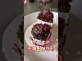 【多肉植物ケーキ寄せ】空き缶にダイソーのモルタル塗装してチマチマ植え😍 多肉植物寄せ植え 多肉植物 寄せ植え リメ缶 ダイソー ダイソーモルタル モルタル shorts